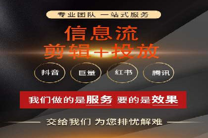 搜索引擎营销（SEM）的投放策略与效果评估——以某行业领先企业的案例分析